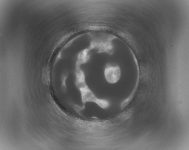 X0000066120016200603311547