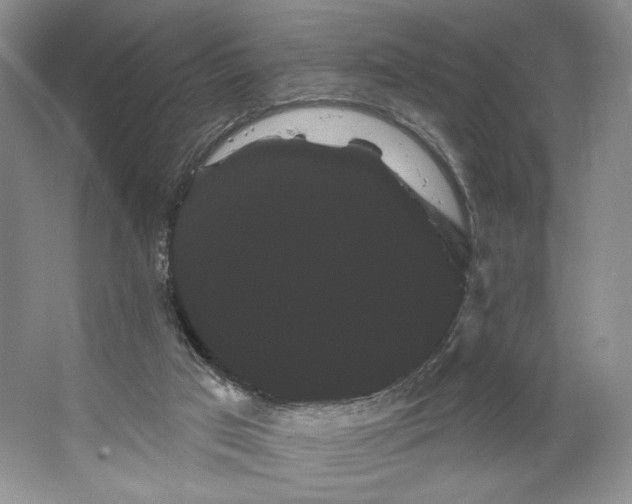 X0000066120017200603311547