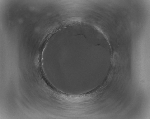 X0000066120018200603311547