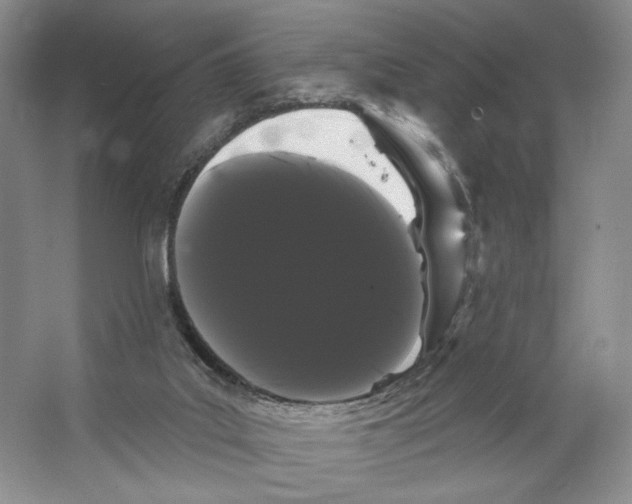 X0000066120019200603311547