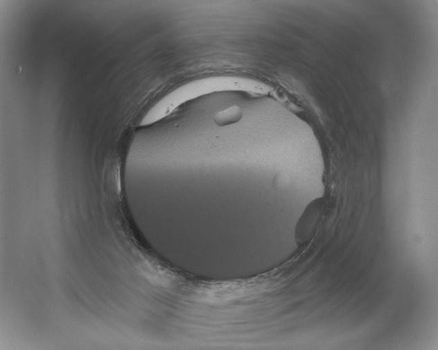 X0000066120021200603311547