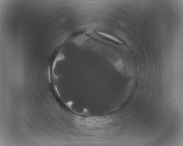 X0000066120022200603311547