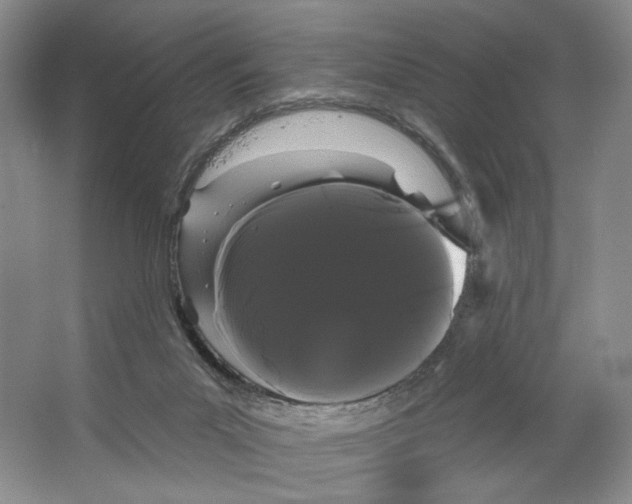 X0000066120023200603311547