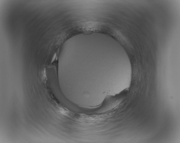 X0000066120025200603311547