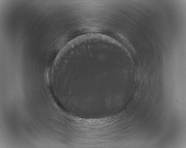 X0000066120026200603311547