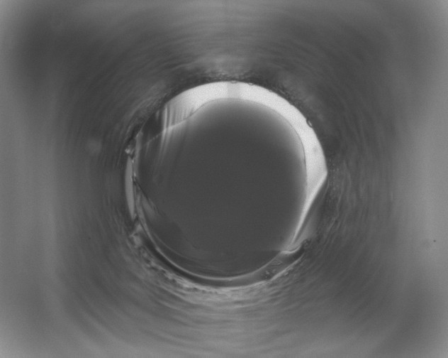 X0000066120027200603311547