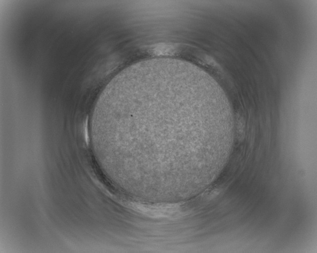 X0000066120028200603311547