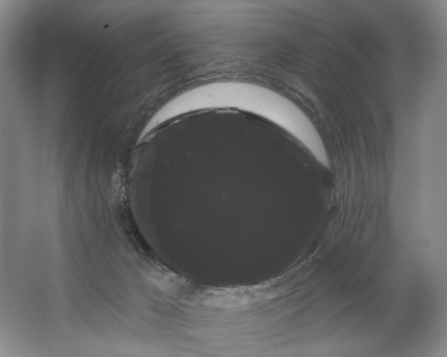 X0000066120029200603311547