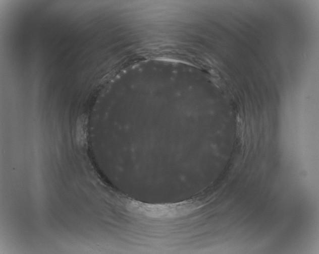 X0000066120030200603311547