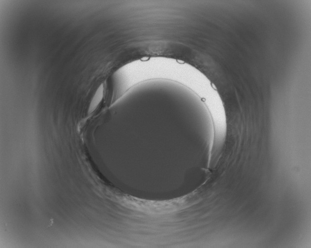 X0000066120031200603311547