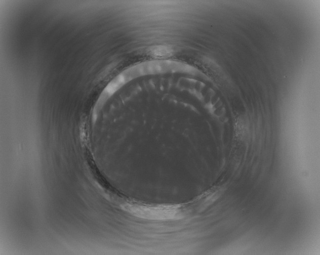 X0000066120032200603311547