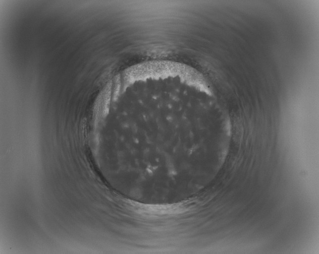 X0000066120034200603311547