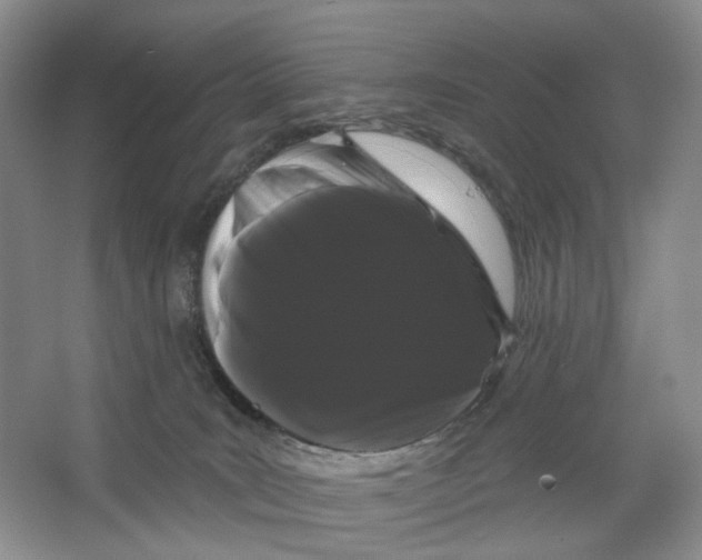 X0000066120035200603311547