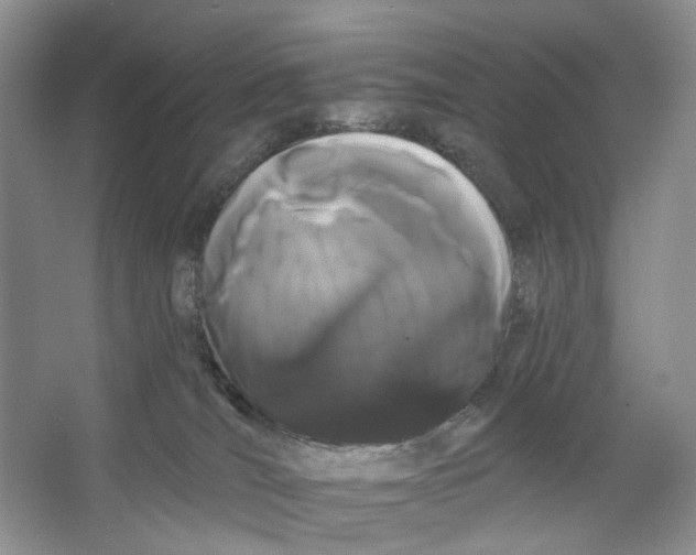 X0000066120036200603311547