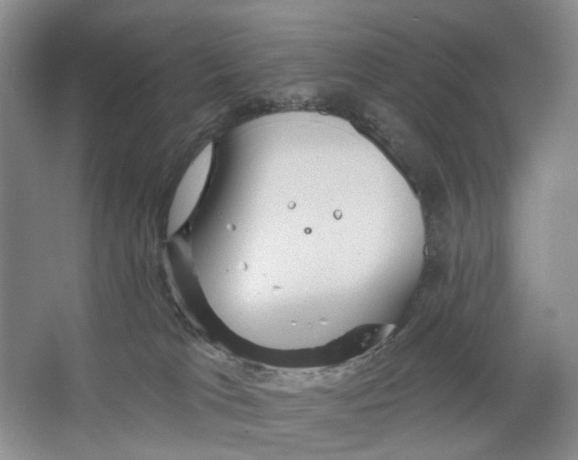 X0000066120037200603311547