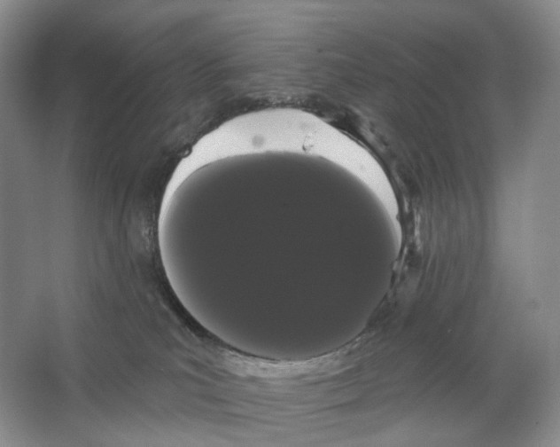 X0000066120039200603311547