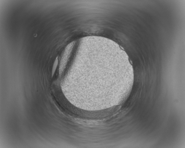 X0000066120040200603311547