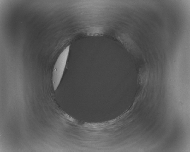 X0000066120041200603311547