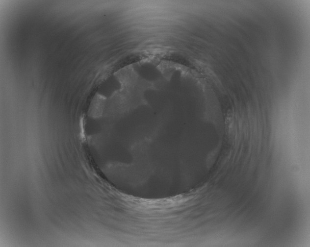 X0000066120042200603311547