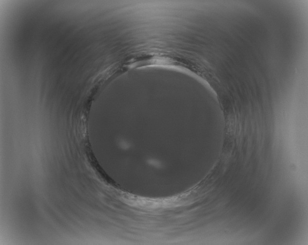 X0000066120043200603311547