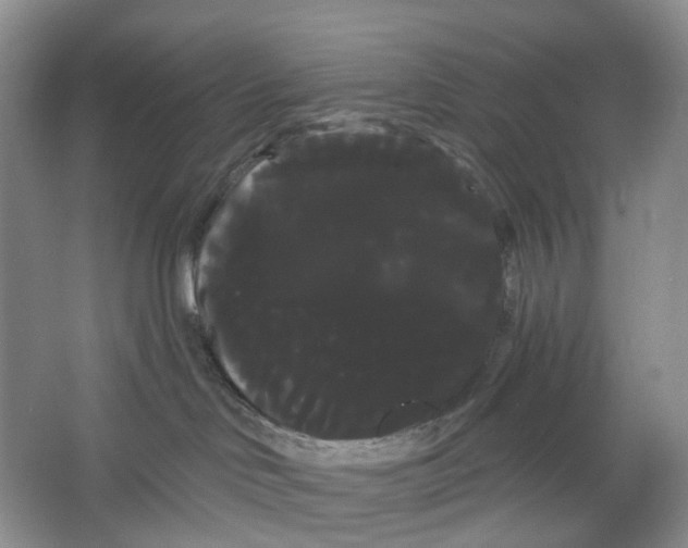 X0000066120046200603311547