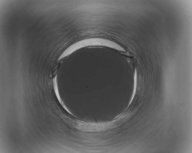 X0000066120048200603311547