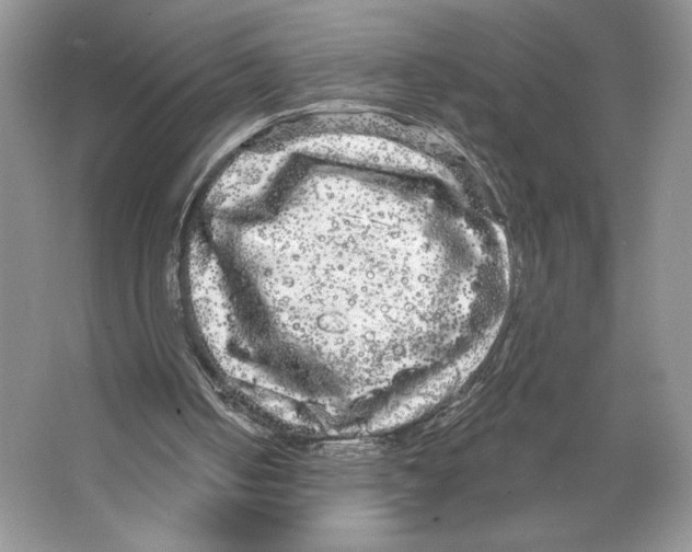 X0000066120050200603311546