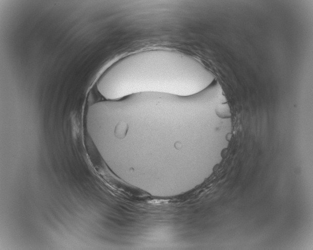 X0000066120052200603311546