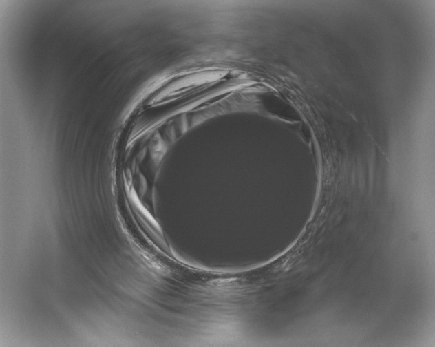 X0000066120054200603311546