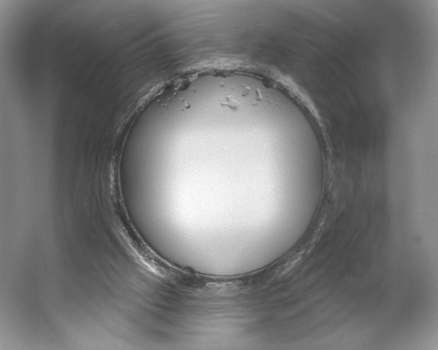 X0000066120057200603311546