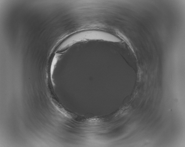 X0000066120059200603311546