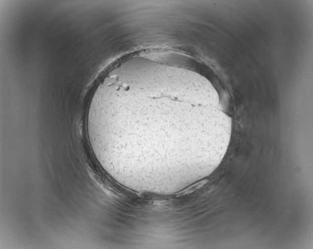 X0000066120060200603311546