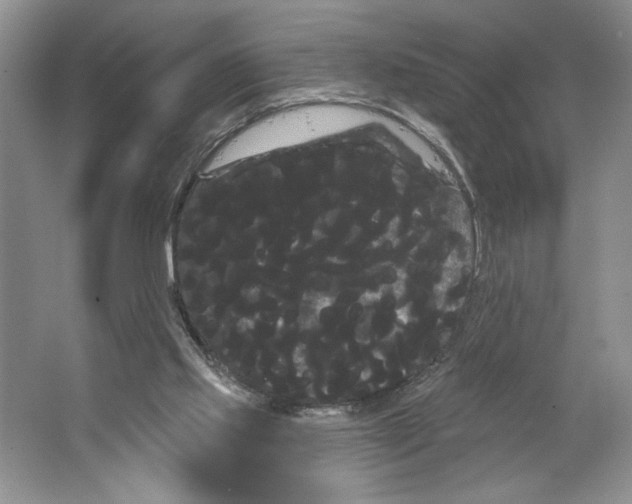 X0000066120061200603311546