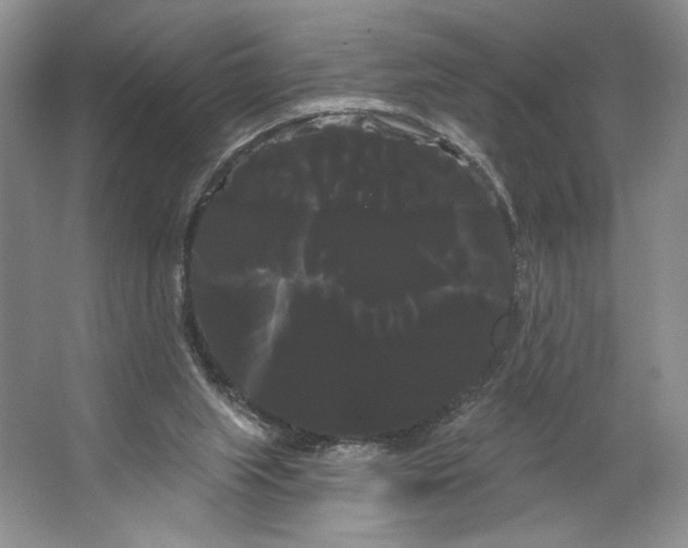 X0000066120063200603311546