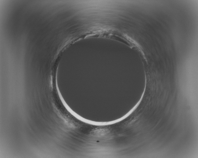 X0000066120067200603311546