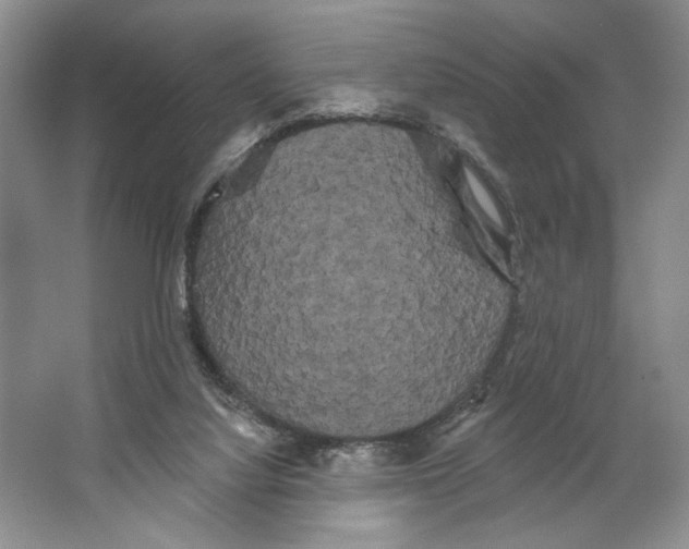 X0000066120068200603311546