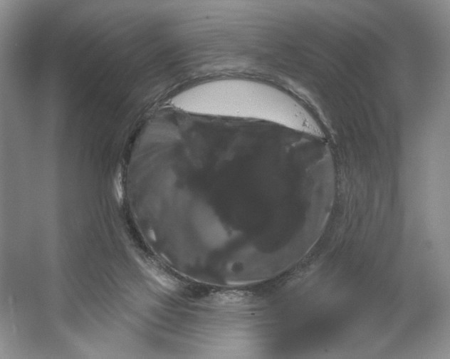 X0000066120069200603311546