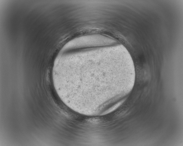 X0000066120071200603311546