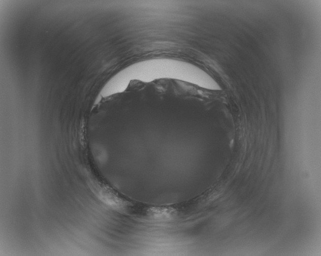 X0000066120073200603311546