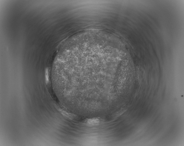 X0000066120075200603311546