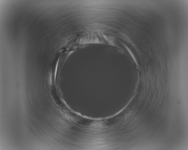 X0000066120076200603311546