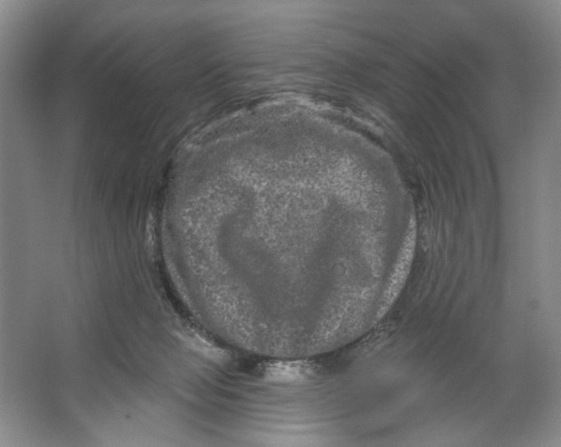 X0000066120077200603311546