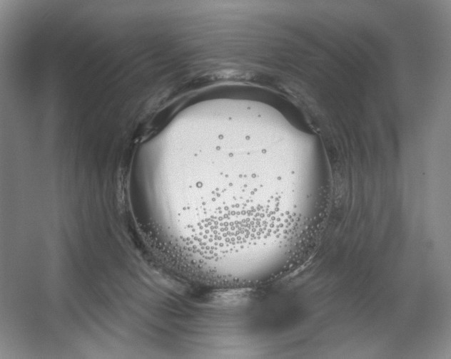 X0000066120078200603311547