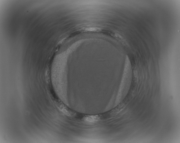 X0000066120079200603311547