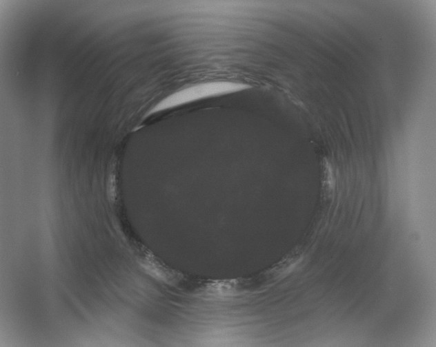 X0000066120080200603311547