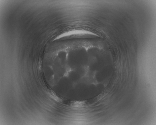 X0000066120081200603311547