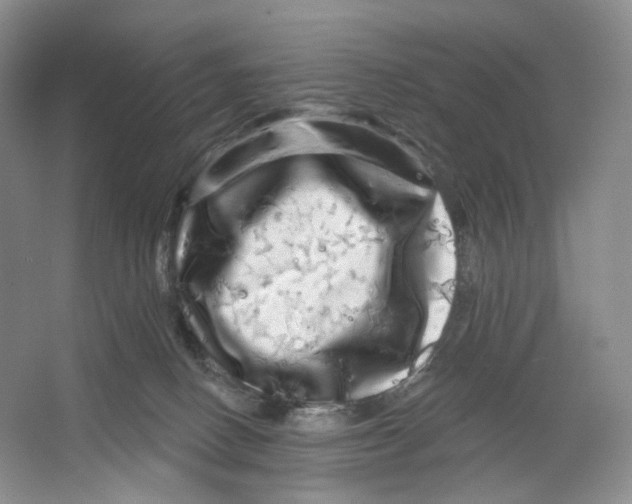 X0000066120082200603311547