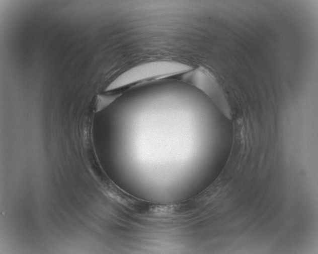 X0000066120084200603311547