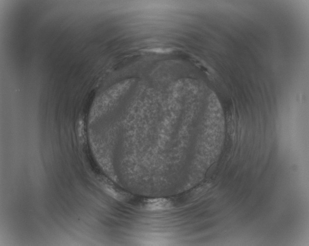 X0000066120087200603311547