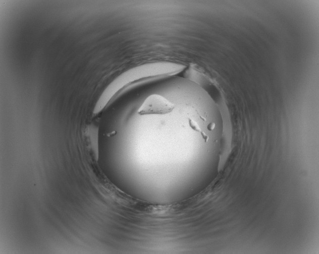 X0000066120088200603311547